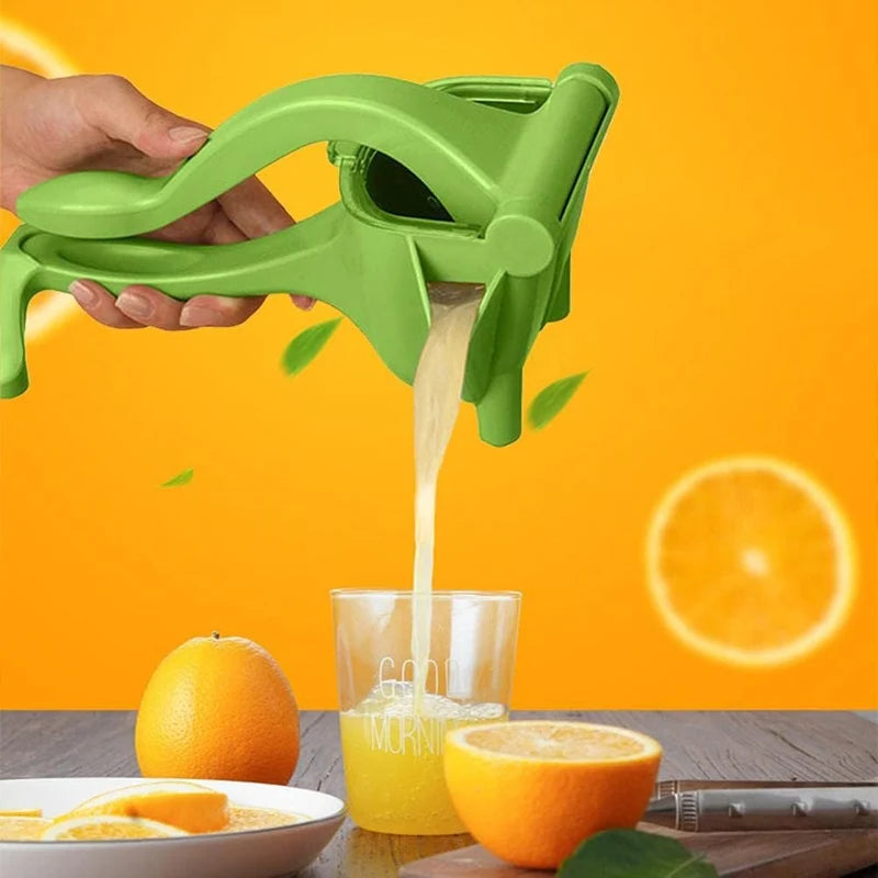 Manual Fruit Press