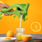 Manual Fruit Press