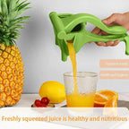 Manual Fruit Press